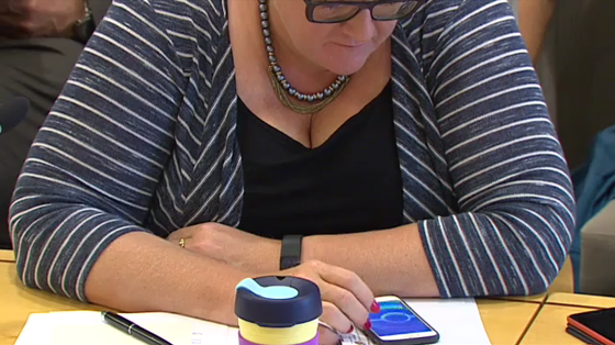 بوكيمون جو يثير ضجة نقدية خلال جلسة برلمانية صورة رقم 6