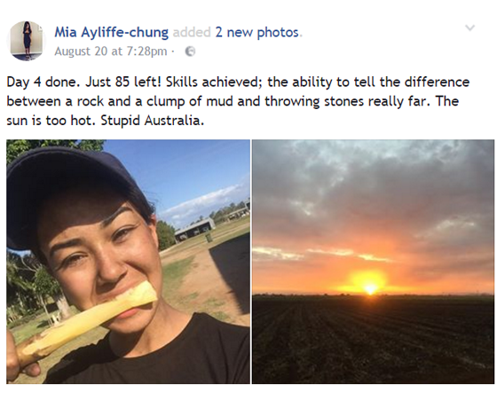 معطيات جديدة عن داعشي الهوى.. محورها العشق والغرام!! صورة رقم 11