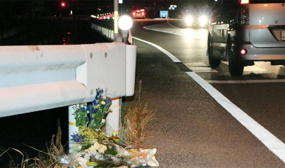 شهيدة بوكيمون.. سائق يدهس امرأتين ويقتل احداهما وهو يلاحق بوكيمون صورة رقم 1 شهيدة بوكيمون.. سائق يدهس امرأتين ويقتل احداهما وهو يلاحق بوكيمون صورة رقم 1