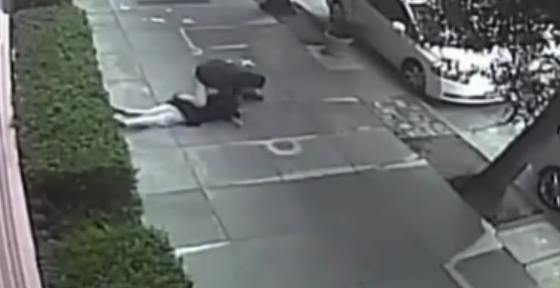 فيديو مثير للحظة اعتداء رجل على امرأة في الشارع وكسر انفها صورة رقم 1 فيديو مثير للحظة اعتداء رجل على امرأة في الشارع وكسر انفها صورة رقم 1