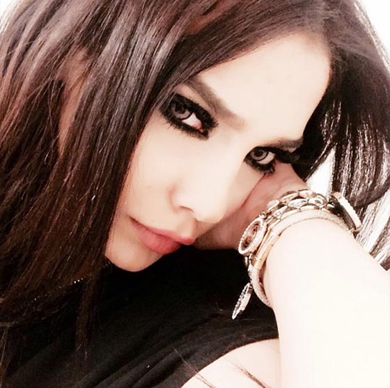 صور شبيهة هيفاء وهبي، سارة العراقية، تذهل الجمهور! صورة رقم 10