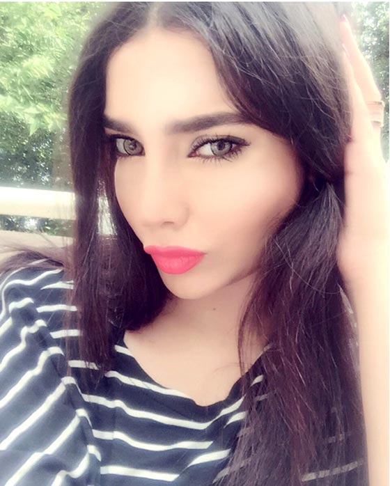 صور شبيهة هيفاء وهبي، سارة العراقية، تذهل الجمهور! صورة رقم 3