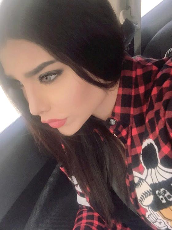 صور شبيهة هيفاء وهبي، سارة العراقية، تذهل الجمهور! صورة رقم 6