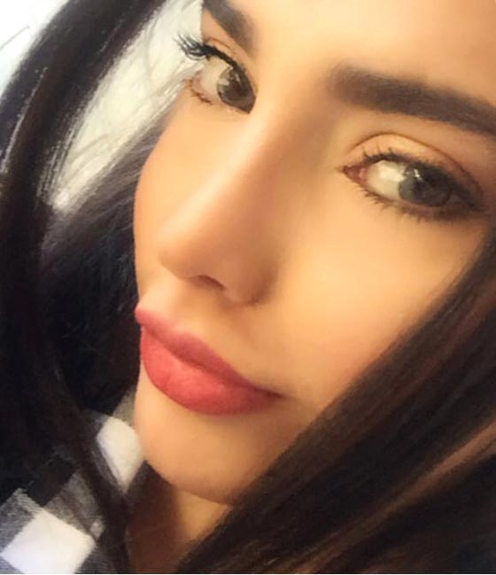 صور شبيهة هيفاء وهبي، سارة العراقية، تذهل الجمهور! صورة رقم 8