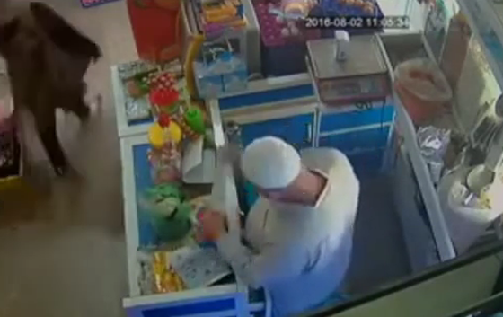 فتاة محجبة تغافل بائع في بقالة وتسرق الغلة.. فيديو صورة رقم 1 فتاة محجبة تغافل بائع في بقالة وتسرق الغلة.. فيديو صورة رقم 1