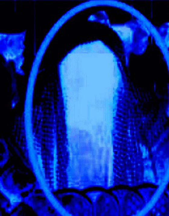 ما حقيقة ظهور رجل بدون ملامح في الروضة الشريفة بالحرم المكي؟ صورة رقم 7