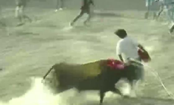 فيديو مثير.. هجوم الثيران على الجمهور يوقع 9 جرحى في البيرو صورة رقم 1