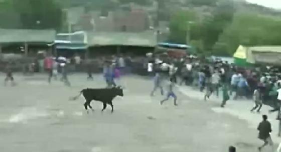 فيديو مثير.. هجوم الثيران على الجمهور يوقع 9 جرحى في البيرو صورة رقم 2