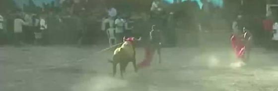 فيديو مثير.. هجوم الثيران على الجمهور يوقع 9 جرحى في البيرو صورة رقم 5