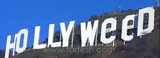 قطعة قماش تحول هوليوود الى مخدرات مقدسة!! شاهد الفيديو صورة رقم 1