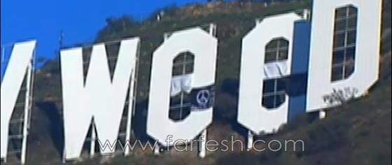 قطعة قماش تحول هوليوود الى مخدرات مقدسة!! شاهد الفيديو صورة رقم 2