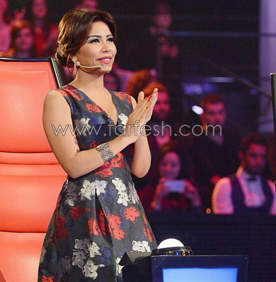 مُقدم برنامج يصف شيرين عبد الوهاب بـ(بنت القلعة) وينتقد فستانها.. فيديو صورة رقم 17