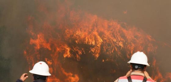 حرائق تلتهم مساحات شاسعة في تشيلي واحتراق 100 منزل.. فيديو صورة رقم 4