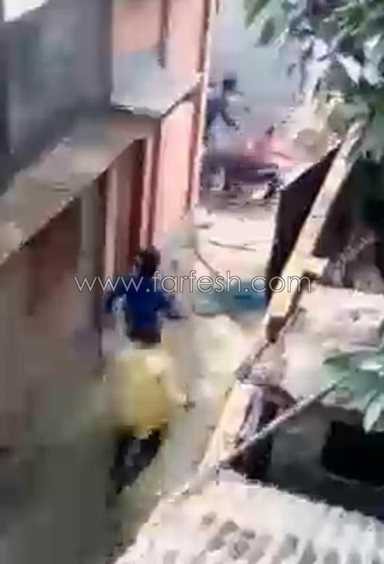  فيديو مثير.. شاهد معركة كر وفر بين سكان بلدة هندية وفهد شرس صورة رقم 4