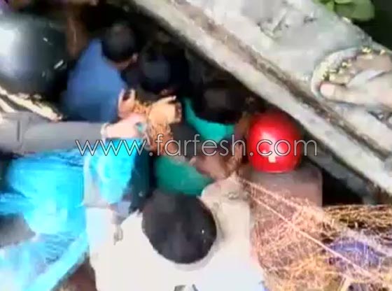  فيديو مثير.. شاهد معركة كر وفر بين سكان بلدة هندية وفهد شرس صورة رقم 1