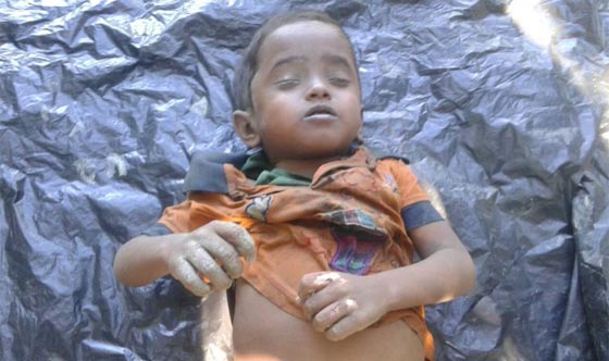 صور مؤلمة: ايلان كردي، محمد شهيت واطفال قتلوا دون رحمة  صورة رقم 10