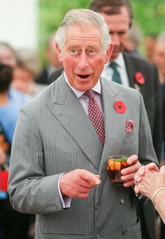 بعد مرض الملكة البزابيث، هل سيتولى العرش الامير تشارلز ام ابنه ويليام؟ صورة رقم 7