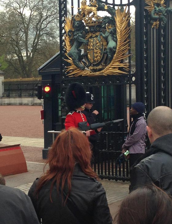 حارس قصر باكنغهام يصوب سلاحه باتجاه الملكة اليزابيث وهي تتنزه ليلا صورة رقم 9