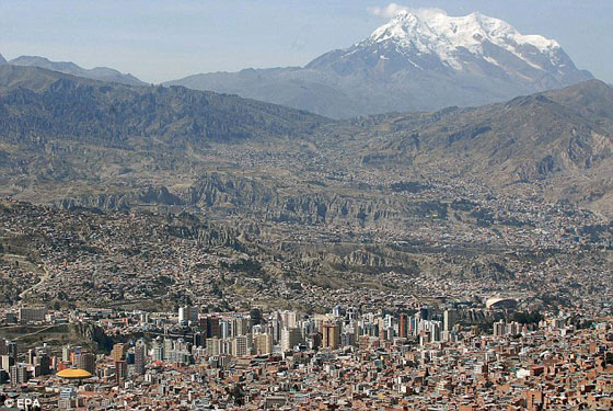 ربط امرأة بشجرة حتى أكلها النمل عقابا لها على جرم لم تقترفه! صورة رقم 3