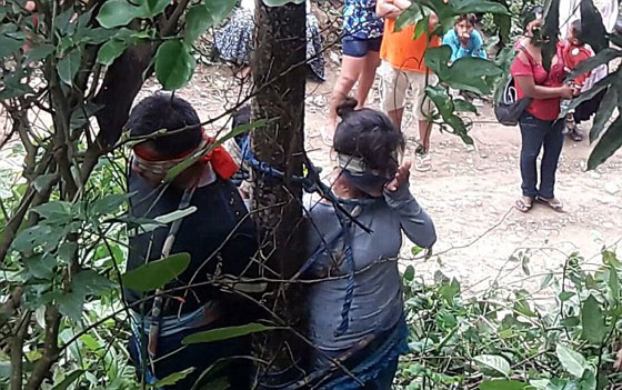 ربط امرأة بشجرة حتى أكلها النمل عقابا لها على جرم لم تقترفه! صورة رقم 1