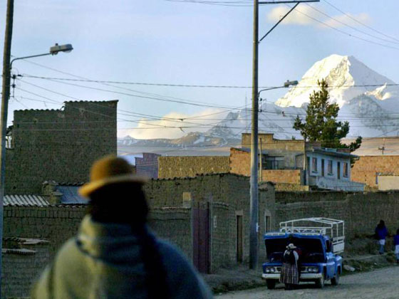 ربط امرأة بشجرة حتى أكلها النمل عقابا لها على جرم لم تقترفه! صورة رقم 2