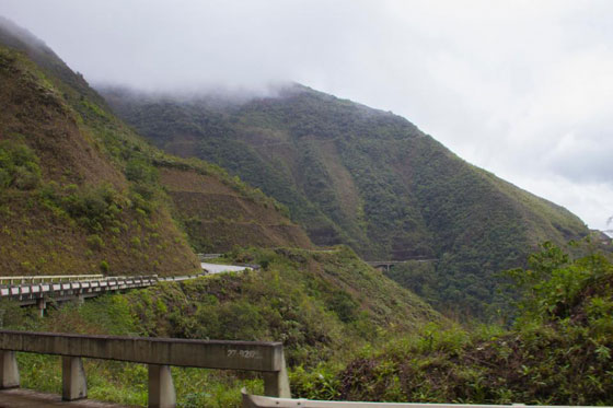 ربط امرأة بشجرة حتى أكلها النمل عقابا لها على جرم لم تقترفه! صورة رقم 4