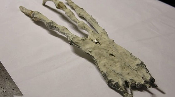 العثور على يد عملاقة بثلاثة أصابع في صحراء البيرو صورة رقم 2