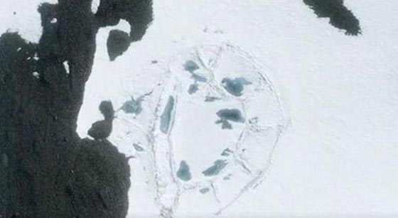 ما هذه المدينة الغريبة التي بدأت تظهر معالمها في القارة المتجمدة؟ صور صورة رقم 1