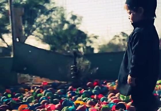 فيديو وصور مروعة.. طفل داعشي يعدم اسيرا مقيدا في ملعب للاطفال صورة رقم 4