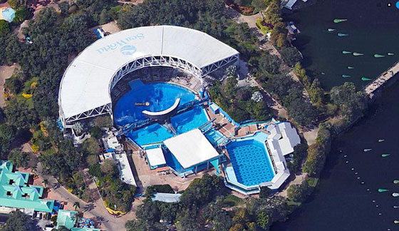 انهاء عرض الحوت القاتل (تيليكوم) الذي قتل 3 أشخاص صورة رقم 19