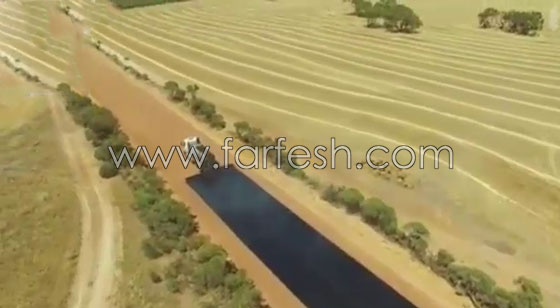 14 مليون مشاهدة لفيديو تعبيد طريق بأسلوب مذهل صورة رقم 4