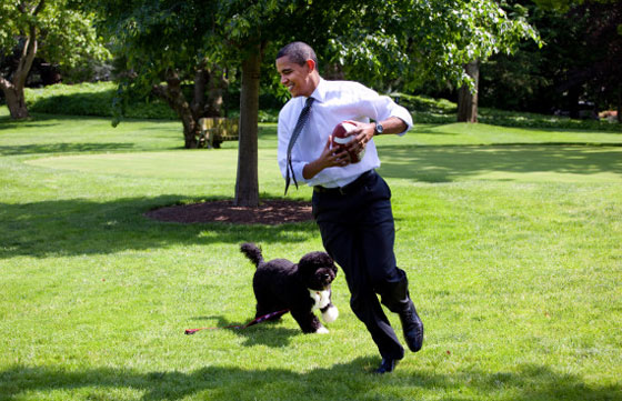 اجواء متوترة في البيت الابيض قبل اخلائه وكلبة اوباما تعض صديقة ابنته صورة رقم 6