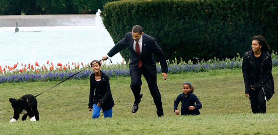 اجواء متوترة في البيت الابيض قبل اخلائه وكلبة اوباما تعض صديقة ابنته صورة رقم 11