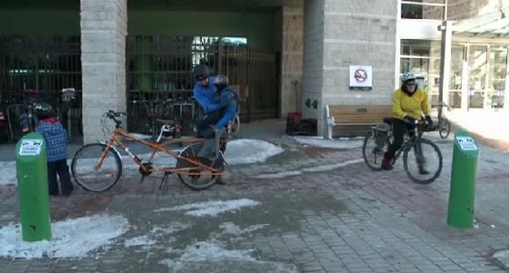 فيديو لمشاجرة بين سائق مركبة وراكب دراجة تسبب ازمة في كندا صورة رقم 4