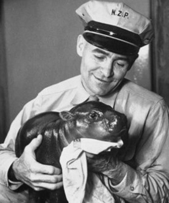 تعرف على رؤساء امريكيين ملأوا البيت الابيض بالحيوانات والثعابين صورة رقم 3