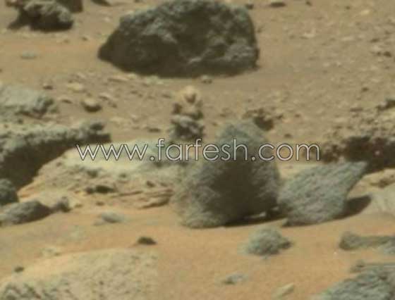 هل هذا مخلوق فضائي مسلح ام مجرد صخور على المريخ؟! صور صورة رقم 7