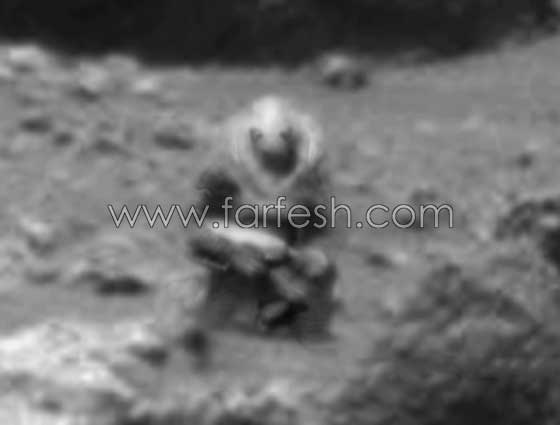 هل هذا مخلوق فضائي مسلح ام مجرد صخور على المريخ؟! صور صورة رقم 10