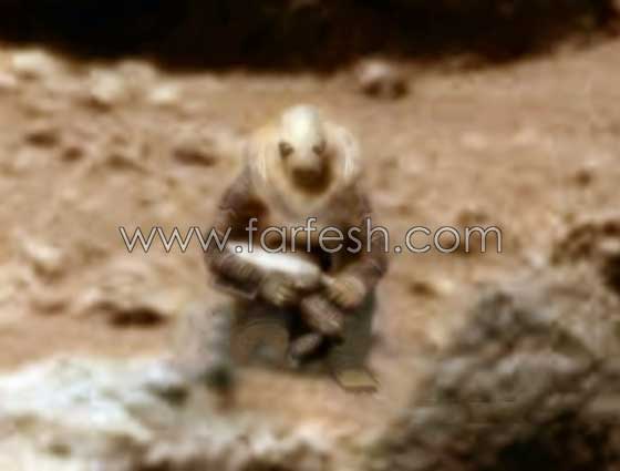 هل هذا مخلوق فضائي مسلح ام مجرد صخور على المريخ؟! صور صورة رقم 12