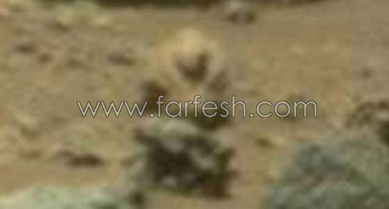 هل هذا مخلوق فضائي مسلح ام مجرد صخور على المريخ؟! صور صورة رقم 6