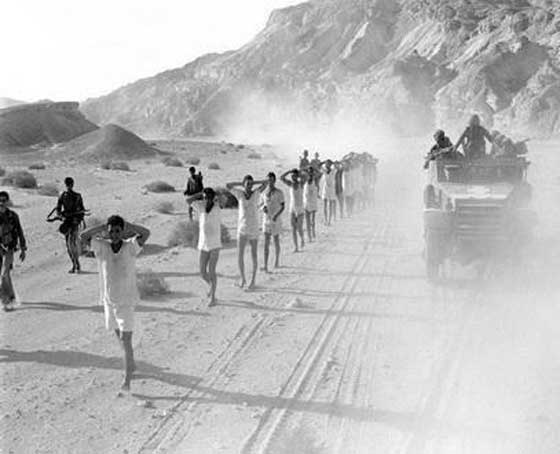 مصر تطالب بمقاضاة إسرائيل وتعويض أسرى حربي 56 و67 صورة رقم 6