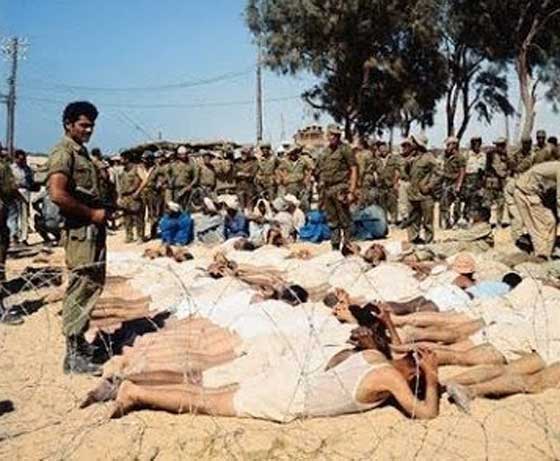 مصر تطالب بمقاضاة إسرائيل وتعويض أسرى حربي 56 و67 صورة رقم 12