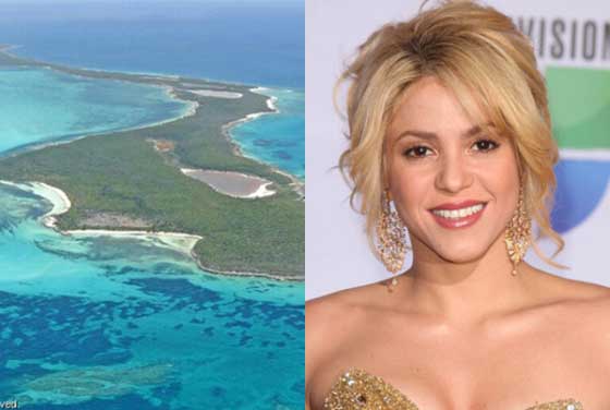 تعرف على نجوم ومشاهير يملكون جزرهم الخاصة اشتروها بالملايين صورة رقم 1