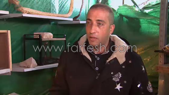 تعرف على صياد الافاعي ومربي الحيوانات البرية الفلسطيني جمال العمواسي صورة رقم 2