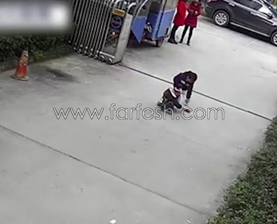 فيديو صادم.. نجاة طفل من الموت بأعجوبة بعد ان دهس مرتين صورة رقم 4