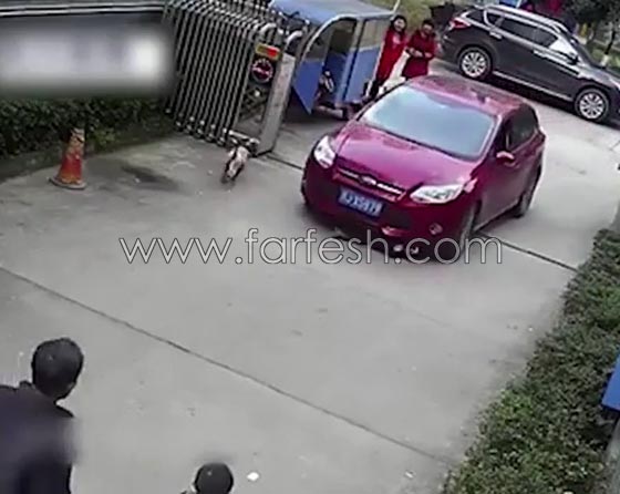 فيديو صادم.. نجاة طفل من الموت بأعجوبة بعد ان دهس مرتين صورة رقم 7