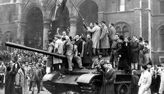 أبرز الثورات التي تم إجهاضها مبكراً صورة رقم 4