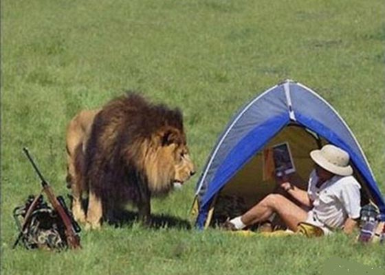 صور مأساوية التقطت قبل وقوع الكارثة بثانية واحدة! شاهد صورة رقم 7