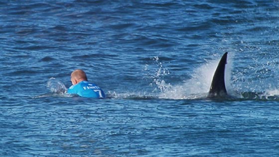 صور مأساوية التقطت قبل وقوع الكارثة بثانية واحدة! شاهد صورة رقم 2