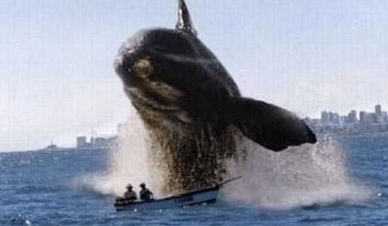 صور مأساوية التقطت قبل وقوع الكارثة بثانية واحدة! شاهد صورة رقم 8