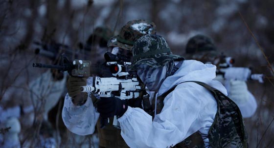  صور.. جنود أميركيون وكوريون جنوبيون يتحدون الثلوج بمرح! صورة رقم 4